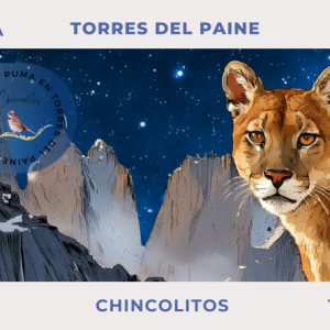 Postal Torres del Paine